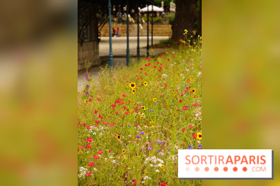 l'Île des Impressionnistes à Chatou