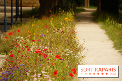 l'Île des Impressionnistes à Chatou