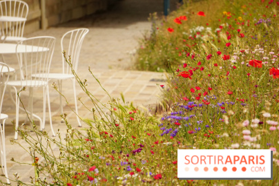 l'Île des Impressionnistes à Chatou