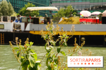Une balade à vélo depuis Paris pour se rendre aux Cueillettes de Conflans