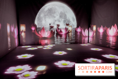 Exposition immersive autour de la Fête des lanternes, nos photos