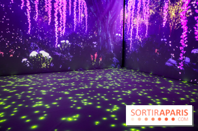 Exposition immersive autour de la Fête des lanternes, nos photos