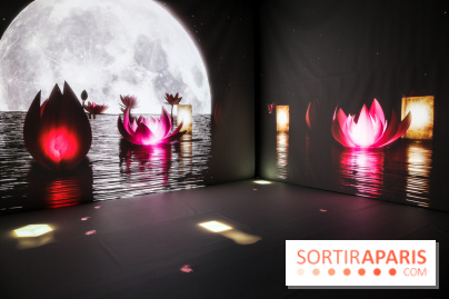 Exposition immersive autour de la Fête des lanternes, nos photos