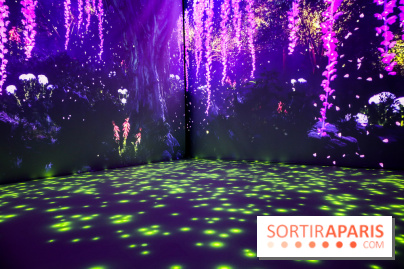 Exposition immersive autour de la Fête des lanternes, nos photos