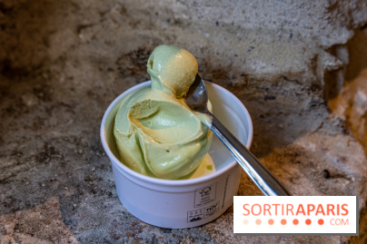 Les glaces de Jacques Génin à Paris