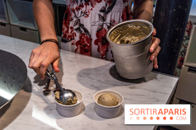 Les glaces de Jacques Génin à Paris