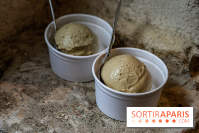 Les glaces de Jacques Génin à Paris