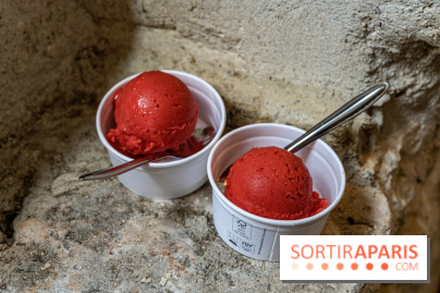 Les glaces de Jacques Génin à Paris