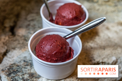 Les glaces de Jacques Génin à Paris