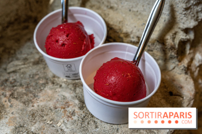 Les glaces de Jacques Génin à Paris