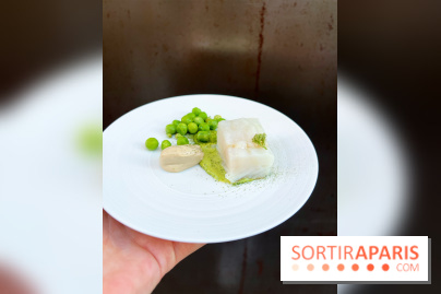 NESO Guillaume Sanchez x The Botanist