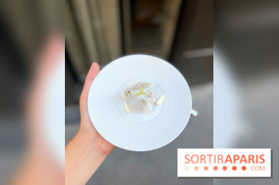 NESO Guillaume Sanchez x The Botanist