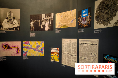 Micro mondes, une exposition à découvrir à la loupe au musée du Quai Branly, nos photos