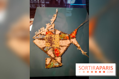 Micro mondes, une exposition à découvrir à la loupe au musée du Quai Branly, nos photos