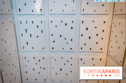 Micro mondes, une exposition à découvrir à la loupe au musée du Quai Branly, nos photos