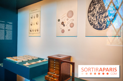 Micro mondes, une exposition à découvrir à la loupe au musée du Quai Branly, nos photos