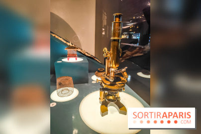 Micro mondes, une exposition à découvrir à la loupe au musée du Quai Branly, nos photos
