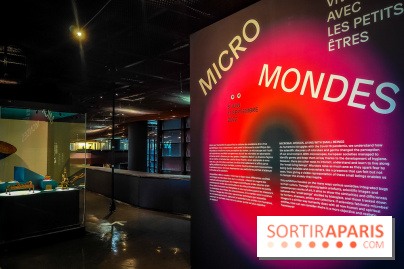 Micro mondes, une exposition à découvrir à la loupe au musée du Quai Branly, nos photos