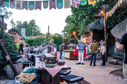 Le Banquet Gaulois au Parc Asterix 