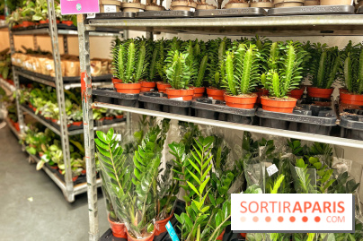 Plantes pour Tous, les prochaines ventes de plantes à partir de 2€ à Paris