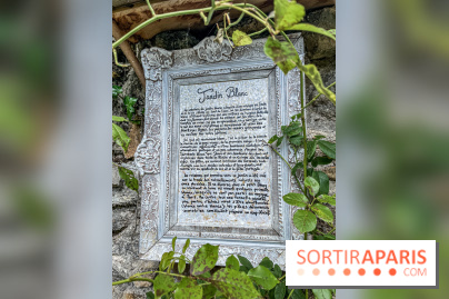 Le Moulin Jaune en photos