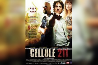Cellule 211