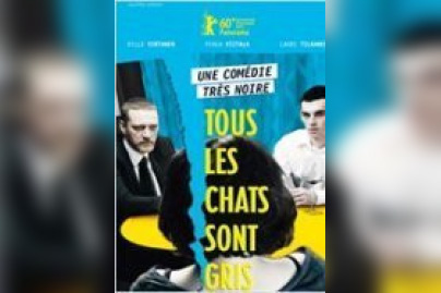 Tous les chats sont gris