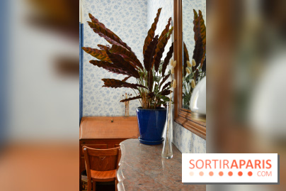 La Maison des Marronniers, un havre de paix en Essonne