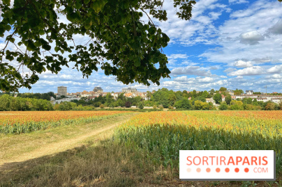 Houdan, ville médiévale et balade historique dans les Yvelines