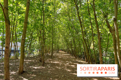 Balade sur la Petite Ceinture du 14 au 16e arrondissement : un sentier nature dépaysant