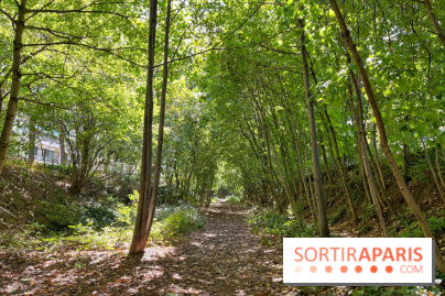 Balade sur la Petite Ceinture du 14 au 16e arrondissement : un sentier nature dépaysant