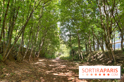 Balade sur la Petite Ceinture du 14 au 16e arrondissement : un sentier nature dépaysant