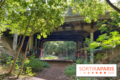 Balade sur la Petite Ceinture du 14 au 16e arrondissement : un sentier nature dépaysant