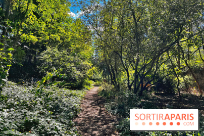 Balade sur la Petite Ceinture du 14 au 16e arrondissement : un sentier nature dépaysant