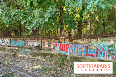 Balade sur la Petite Ceinture du 14 au 16e arrondissement : un sentier nature dépaysant