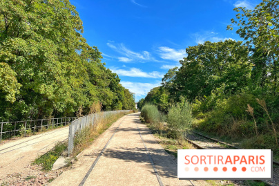 Balade sur la Petite Ceinture du 14 au 16e arrondissement : un sentier nature dépaysant