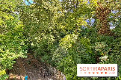 Balade sur la Petite Ceinture du 14 au 16e arrondissement : un sentier nature dépaysant