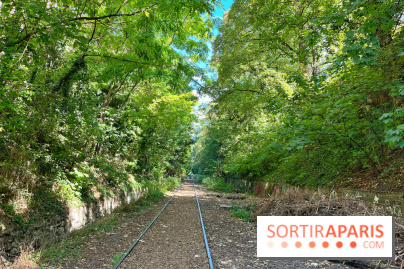Balade sur la Petite Ceinture du 14 au 16e arrondissement : un sentier nature dépaysant