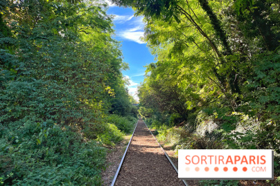Balade sur la Petite Ceinture du 14 au 16e arrondissement : un sentier nature dépaysant