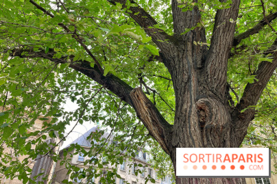 6 anecdotes ésotériques et mystérieuses autour de monuments parisiens