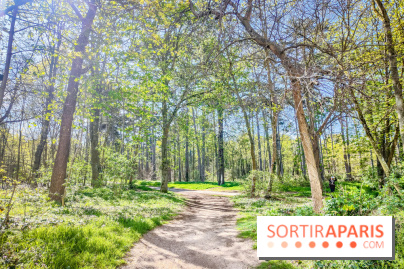 Visuels Paris - forêt bois de Boulogne nature soleil printemps