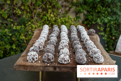 Les appartements de l’Institut Suédois 