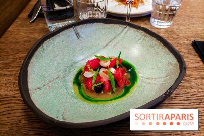 Magma à Paris, nos photos