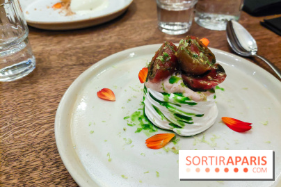 Magma à Paris, nos photos