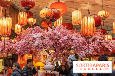 Le Nouvel an Chinois dans le 13e à Paris 2020