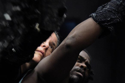 La Langue des Cygnes