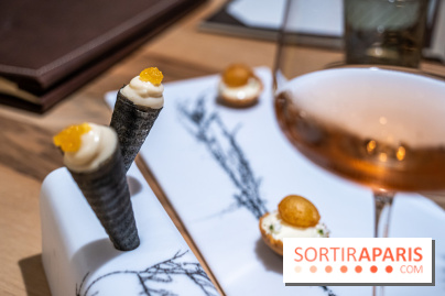 Le Corot restaurant étoilé des Etangs de Corot, les photos du lieu rénové et ses menus