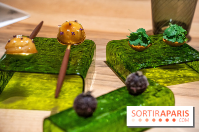 Le Corot restaurant étoilé des Etangs de Corot, les photos du lieu rénové et ses menus