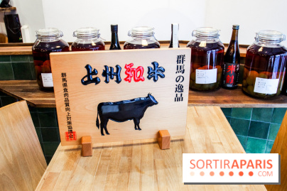 An Japonaise - bistrot de Wagyu Gyudon, nos photos