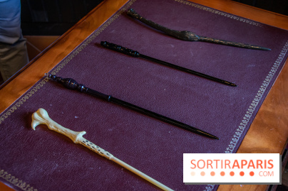 La Manufacture Arribas, souffleur de verre officiel de Disneyland Paris, vous ouvre ses portes